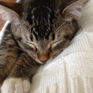 Meet your Posher, Allyssa